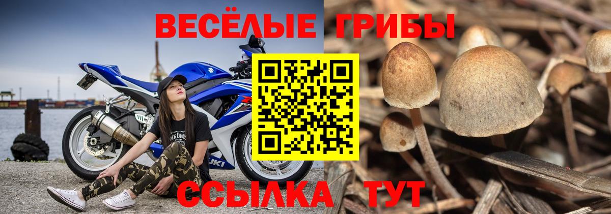 Псилоцибиновые грибы ЛСД Сегежа