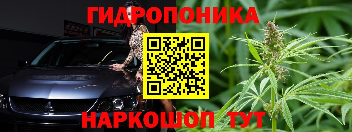 Марихуана план Сегежа